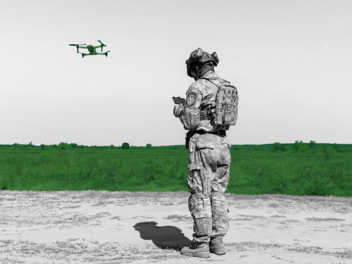 Of dinosaurs and dragonflies: Agility in the age of war