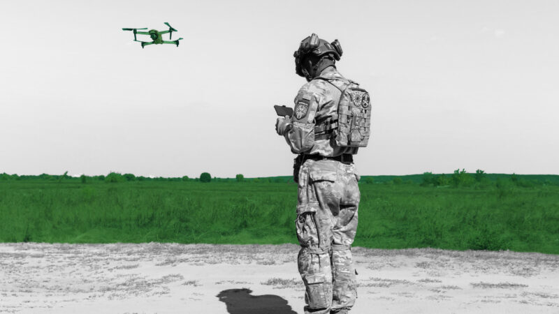 Of dinosaurs and dragonflies: Agility in the age of war